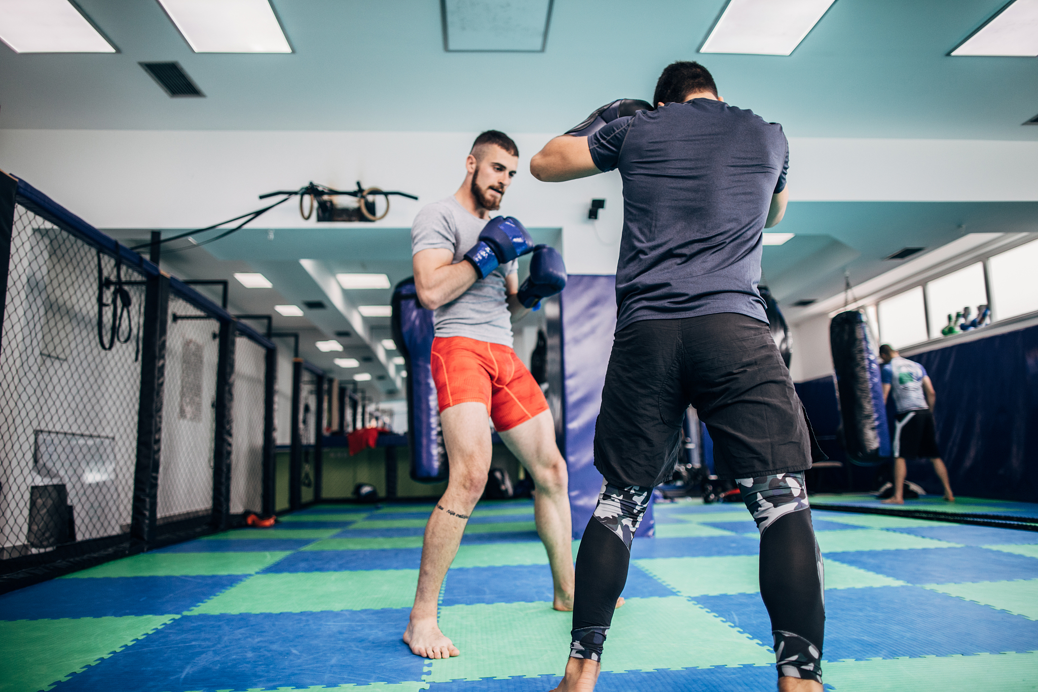 开云下载-韩国拳击选手技压群雄，夺得冠军