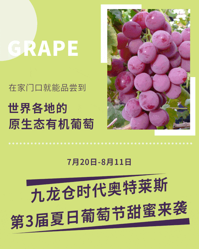 尼斯客场挑战尼姆，两队全力以赴的较量即将展开