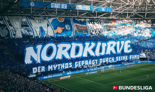 开云体育中国-沙尔克主场取胜，止住连败势头