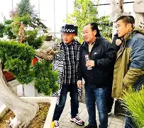 开云体育-包含德比郡蓄势待发，欲吐敦维永远恩之耐城的词条