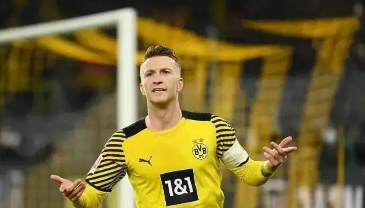 开云体育官方网站-霍芬海姆成为联赛黑马，缔造佳绩