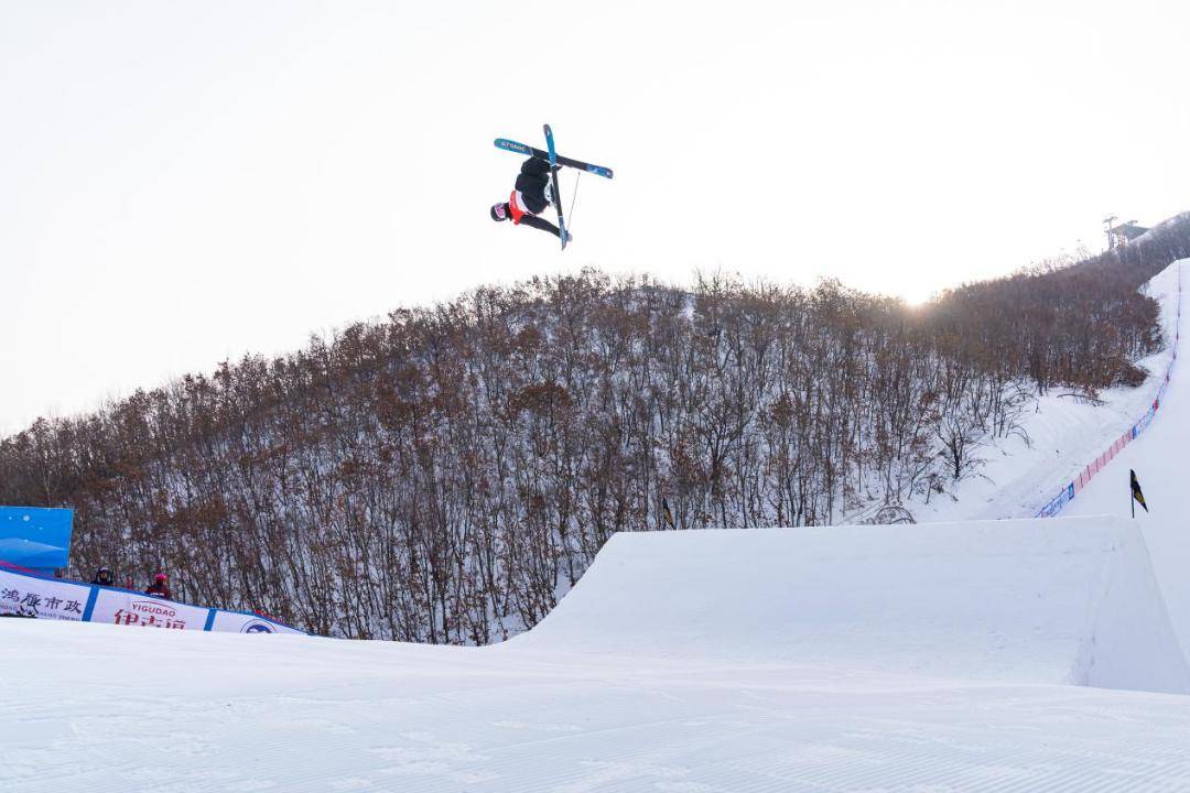 南美选手挑战全球强手，耀眼成绩令人瞩目