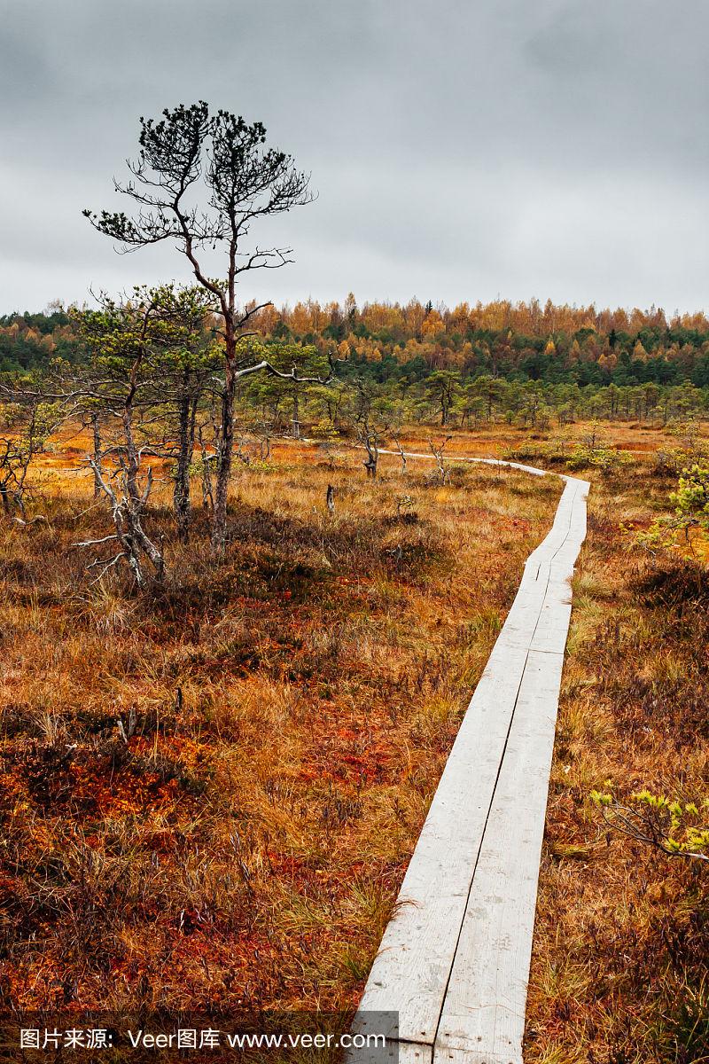 白俄罗斯惨败爱沙尼亚，小组赛陷入泥潭