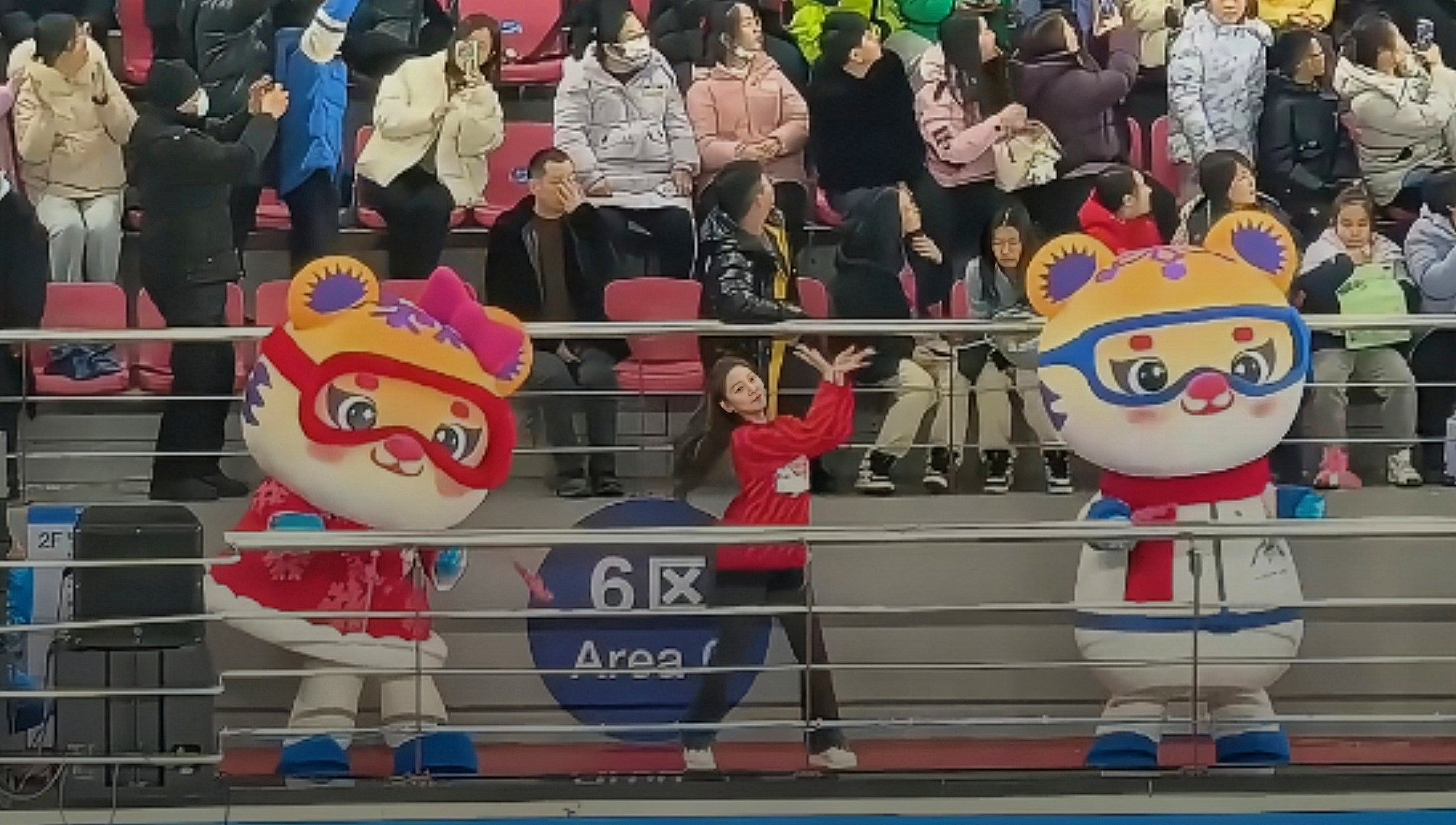 一场激烈的比赛引发观众激情