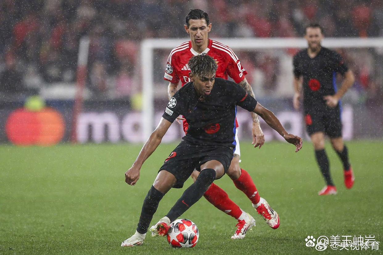 开云体育中国-关于里尔足球队形势利好，联赛排名直线攀升的信息