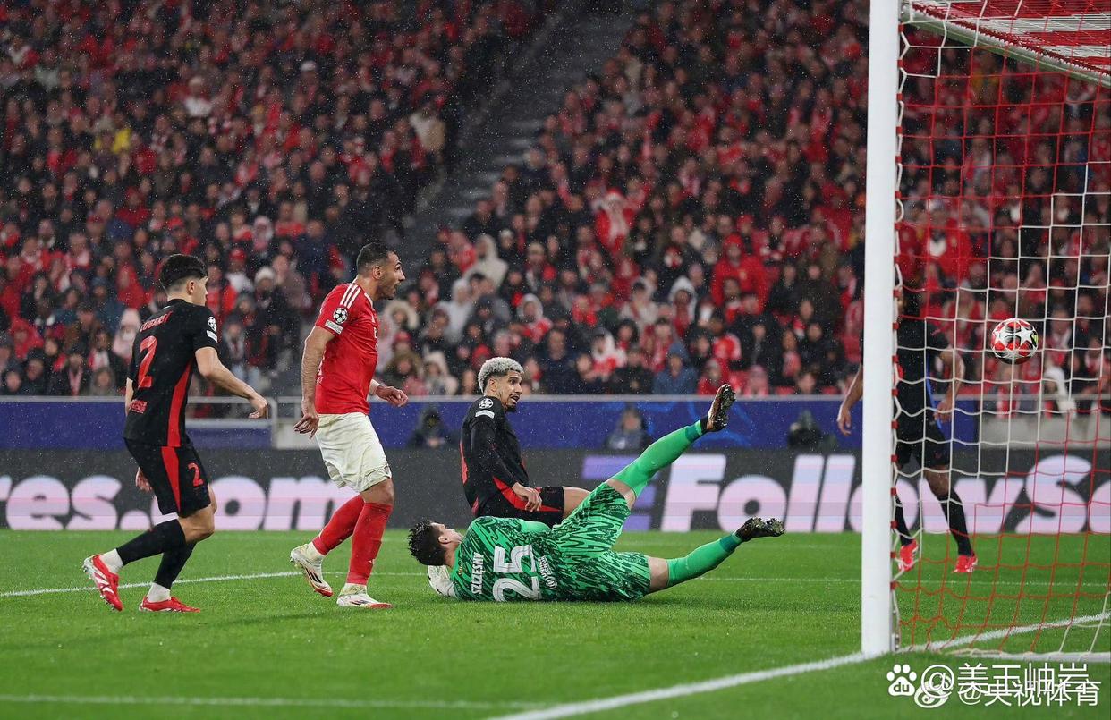 开云平台-里尔取得连胜，崭露头角在法国联赛的简单介绍