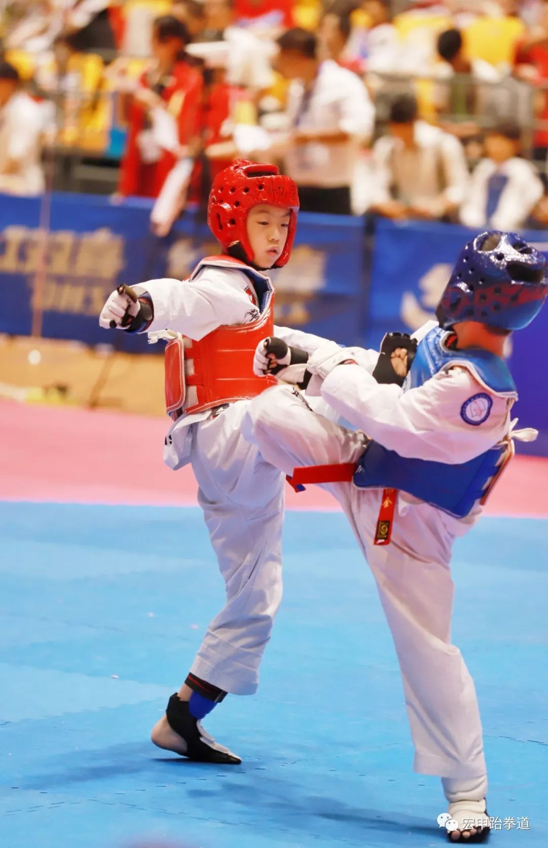 捷克跆拳道选手实现逆袭，跻身前列