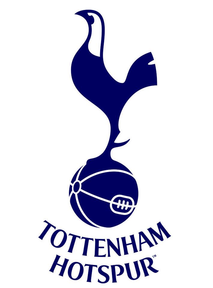 开云体育-热刺客场歼灭敌手，富勒姆束手无策