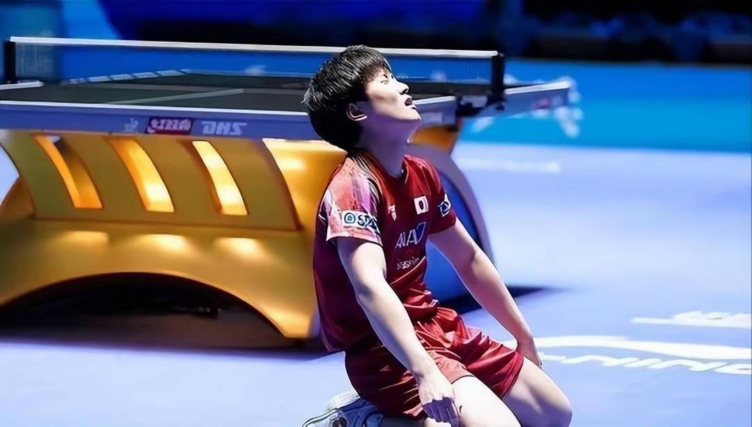 关于德国队轻取波兰队，张本智和状态火热的信息