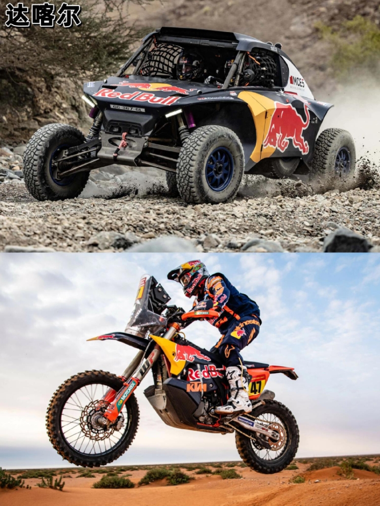 红牛二队险胜红牛车队，阿隆索扛起全队的简单介绍